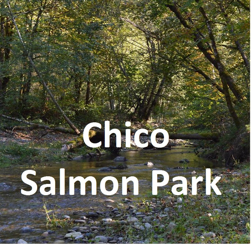 Chico Salmon Park